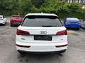 Audi Q5 40 TDI  quattro S line Pano|ACC|VC+|Kam|HUD Blanco - thumbnail 5