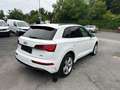 Audi Q5 40 TDI  quattro S line Pano|ACC|VC+|Kam|HUD Blanco - thumbnail 6