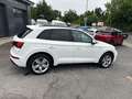 Audi Q5 40 TDI  quattro S line Pano|ACC|VC+|Kam|HUD Blanco - thumbnail 7