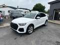 Audi Q5 40 TDI  quattro S line Pano|ACC|VC+|Kam|HUD Blanco - thumbnail 2