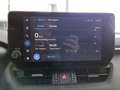 Suzuki Across 2.5L PHEV AWD Blanco - thumbnail 37