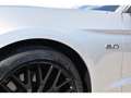 Ford Mustang Mustang Fastback 5.0 V8 Ti-VCT - 450 - BVA  FASTBA Gris - thumbnail 12