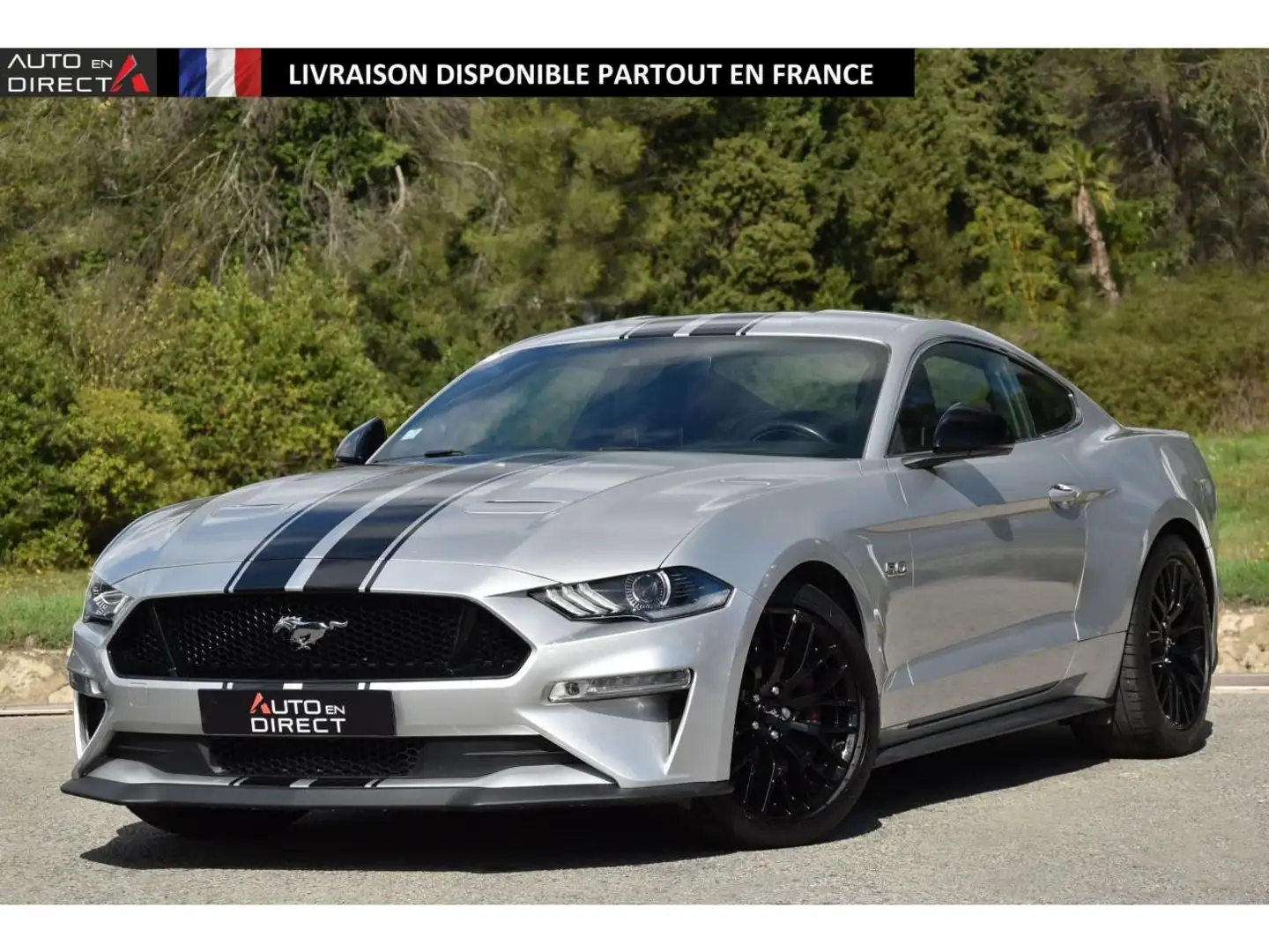 Ford Mustang Mustang Fastback 5.0 V8 Ti-VCT - 450 - BVA  FASTBA Gris - 1