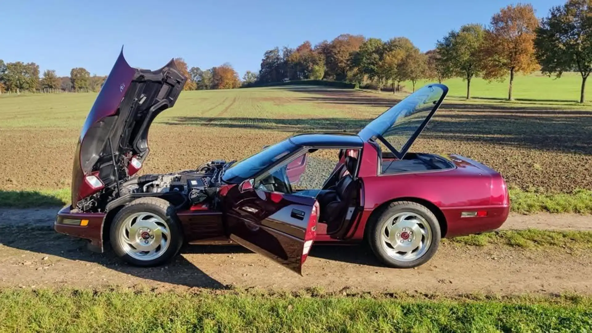 Corvette C4 40th Anniversary Edition - 1