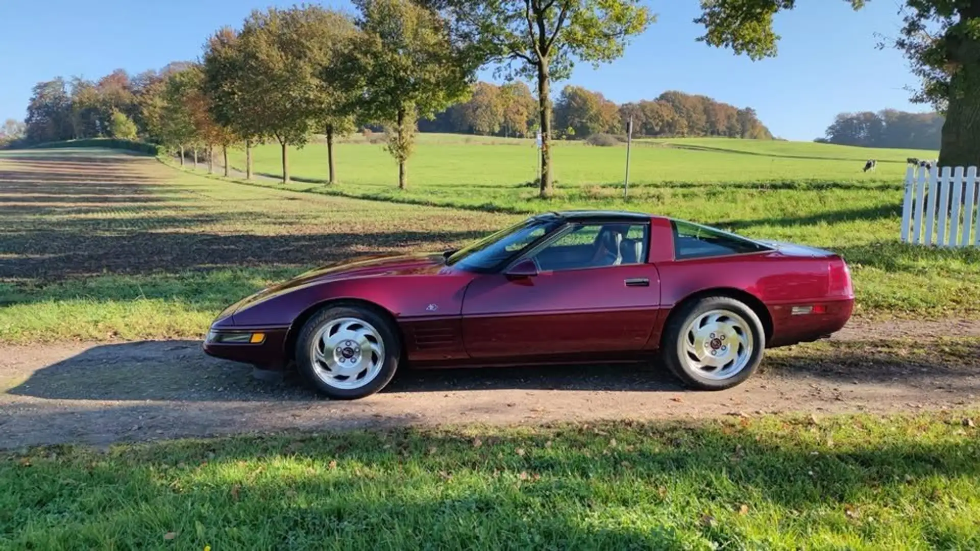 Corvette C4 40th Anniversary Edition - 2