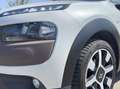 Citroen C4 C4 Cactus 1.6 bluehdi Shine S&S - 100cv Bianco - thumbnail 11