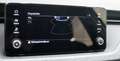 Skoda Scala 1.0 TSI Selection LED*APP-CONNECT*SHZ*PDC*TEMPO... Bianco - thumbnail 15