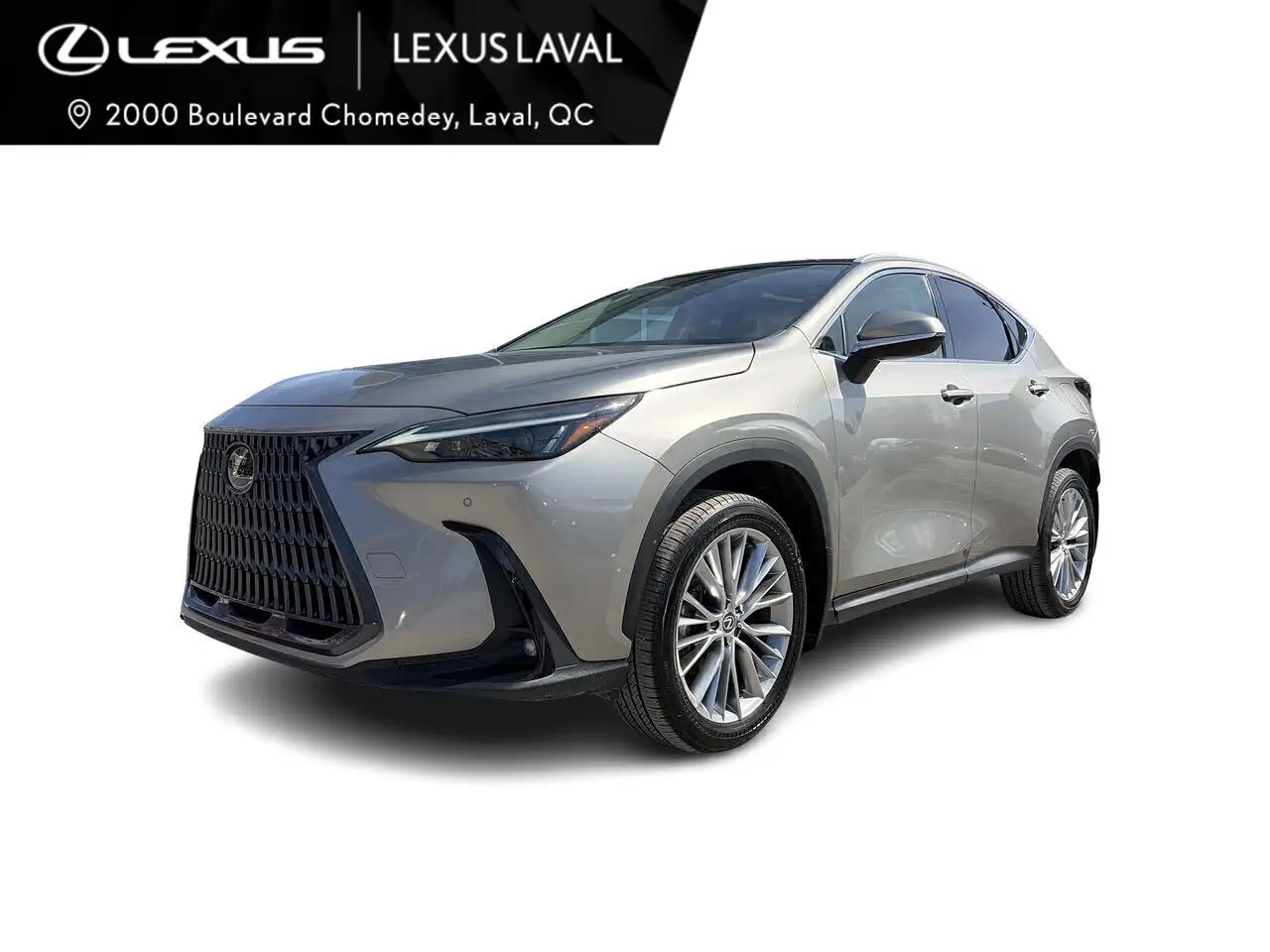 2024 Lexus NX