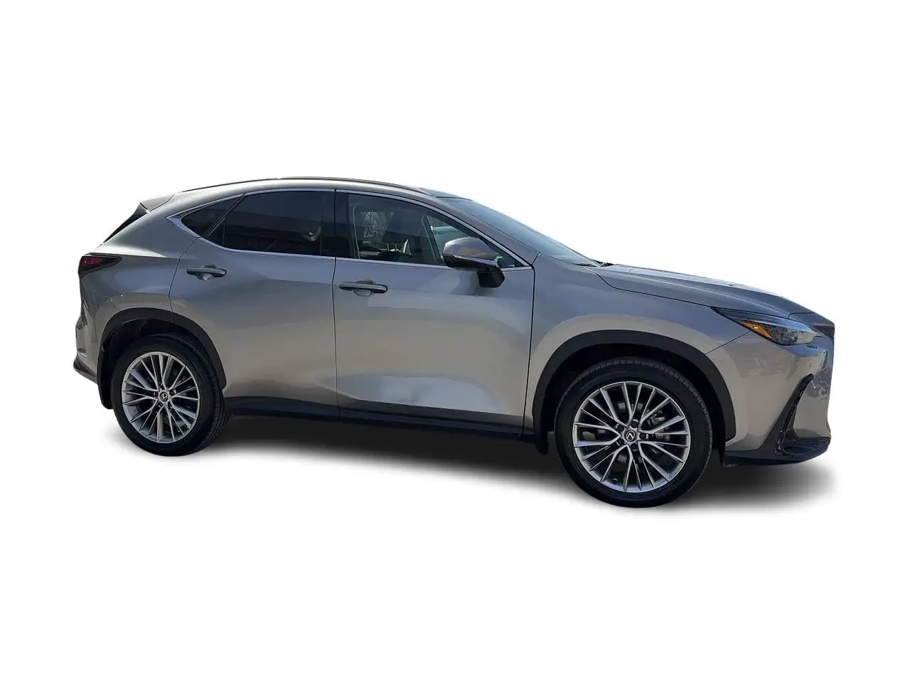 Lexus NX снимка Lexus NX
