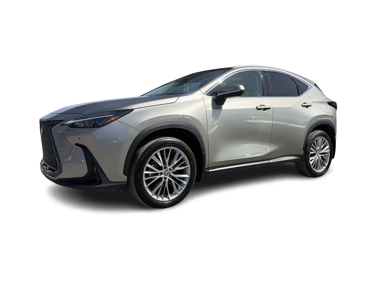 Lexus NX снимка Lexus NX