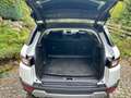 Land Rover Range Rover Evoque Range Rover Evoque TD4 Pure Weiß - thumbnail 9