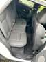 Land Rover Range Rover Evoque Range Rover Evoque TD4 Pure Weiß - thumbnail 6