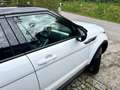 Land Rover Range Rover Evoque Range Rover Evoque TD4 Pure Weiß - thumbnail 8