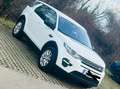 Land Rover Discovery Sport 2,0 eD4 Pure e-Capability Weiß - thumbnail 1