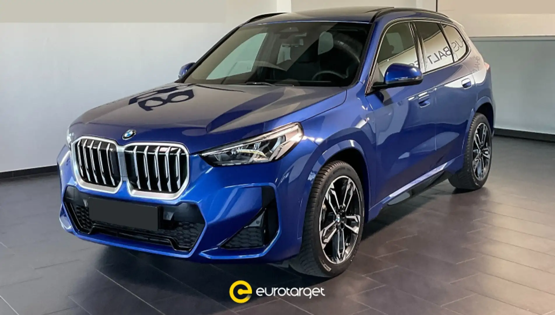 BMW X1 xDrive 20d Msport Blu/Azzurro - 1