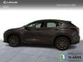 Lexus NX 200t PREMIUM 2WD Grau - thumbnail 5