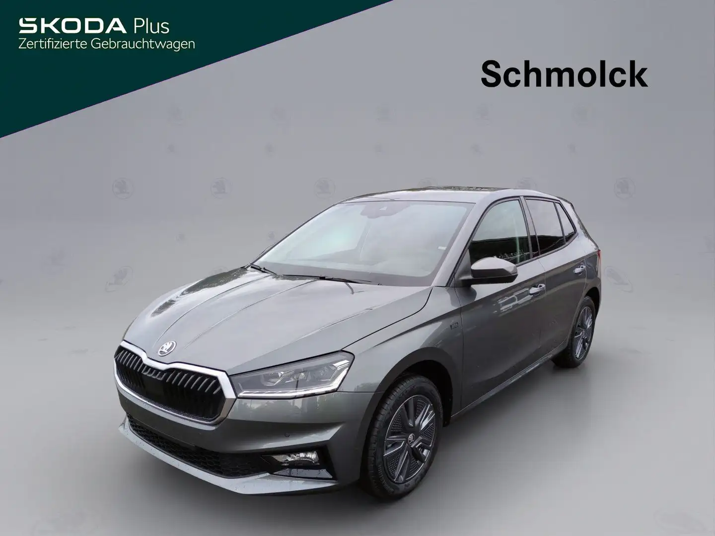 Skoda Fabia Drive 1.0 MPI 80 PS CLIMATRONIC PDC LED Grau - 1