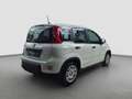 Fiat Panda Pandina *5-Sitze* Weiß - thumbnail 4