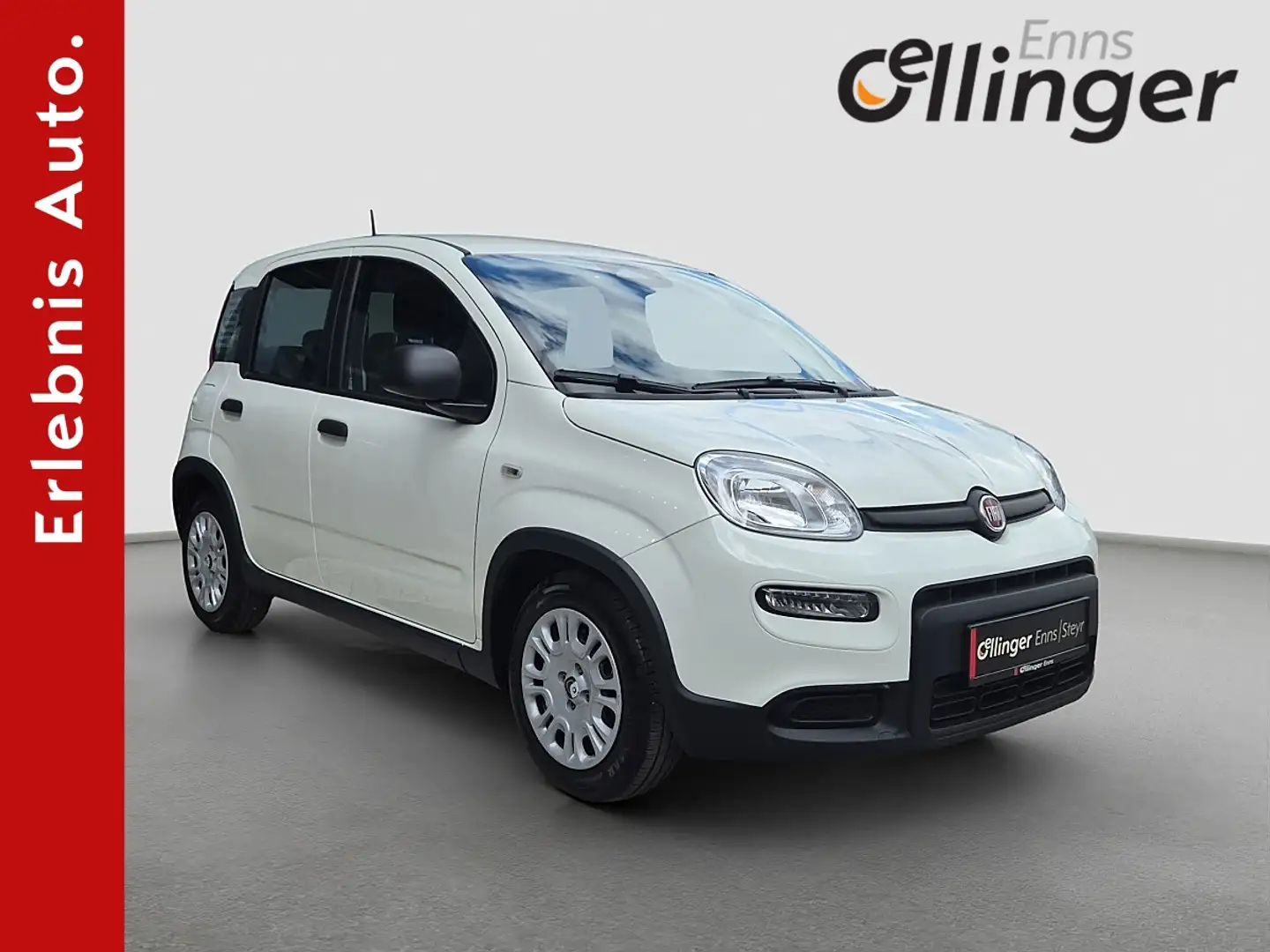Fiat Panda Pandina *5-Sitze* Weiß - 1