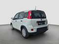 Fiat Panda Pandina *5-Sitze* Weiß - thumbnail 3
