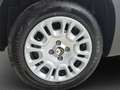 Fiat Panda Pandina *5-Sitze* Weiß - thumbnail 5
