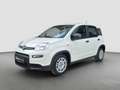 Fiat Panda Pandina *5-Sitze* Weiß - thumbnail 2