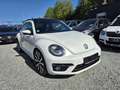 Volkswagen Beetle R-Line DSG Automatik*211 PS*Zahnriem Neu Blanc - thumbnail 4