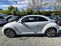 Volkswagen Beetle R-Line DSG Automatik*211 PS*Zahnriem Neu Blanc - thumbnail 9