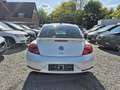 Volkswagen Beetle R-Line DSG Automatik*211 PS*Zahnriem Neu Blanc - thumbnail 15