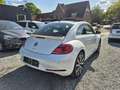 Volkswagen Beetle R-Line DSG Automatik*211 PS*Zahnriem Neu Blanc - thumbnail 6