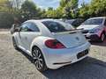 Volkswagen Beetle R-Line DSG Automatik*211 PS*Zahnriem Neu Blanc - thumbnail 8