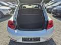 Volkswagen Beetle R-Line DSG Automatik*211 PS*Zahnriem Neu Blanc - thumbnail 7