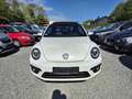 Volkswagen Beetle R-Line DSG Automatik*211 PS*Zahnriem Neu Blanc - thumbnail 3