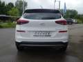 Hyundai TUCSON Tucson 1.6 CRDi DPF Trend Sitzhzg./Kamera/LM Klima Blanc - thumbnail 4
