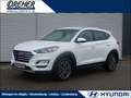 Hyundai TUCSON Tucson 1.6 CRDi DPF Trend Sitzhzg./Kamera/LM Klima Blanc - thumbnail 1