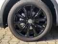 Volkswagen T-Roc Black Style 1.5 TSI DSG ACC NAVI LED APP VZE SHZ N Weiß - thumbnail 7