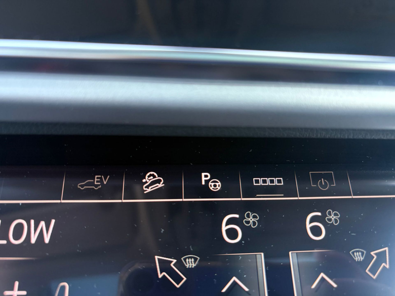 Audi Q7 55 TFSI e Plug in Hybride SOH 97,6% quattro Pro Li — photo 13