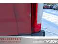 Citroen Jumper 30 L2H2  3,0 t AHK Rot - thumbnail 14