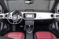 Volkswagen Beetle Cabriolet 1.4 TSI Sport DSG 60's Edition Candy Whi Білий - thumbnail 4