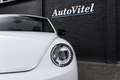 Volkswagen Beetle Cabriolet 1.4 TSI Sport DSG 60's Edition Candy Whi Beyaz - thumbnail 32