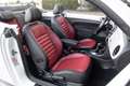 Volkswagen Beetle Cabriolet 1.4 TSI Sport DSG 60's Edition Candy Whi Білий - thumbnail 26