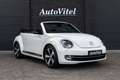 Volkswagen Beetle Cabriolet 1.4 TSI Sport DSG 60's Edition Candy Whi Biały - thumbnail 19
