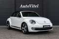 Volkswagen Beetle Cabriolet 1.4 TSI Sport DSG 60's Edition Candy Whi Blanco - thumbnail 8