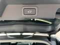 Land Rover Range Rover Sport HSE Aut. 1 Hand - Panorama /// Gold - thumbnail 21