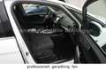 Ford S-Max 2.0 EcoBlue Titanium*NAVI*KAMERA*AHK*7-Si* Fehér - thumbnail 10