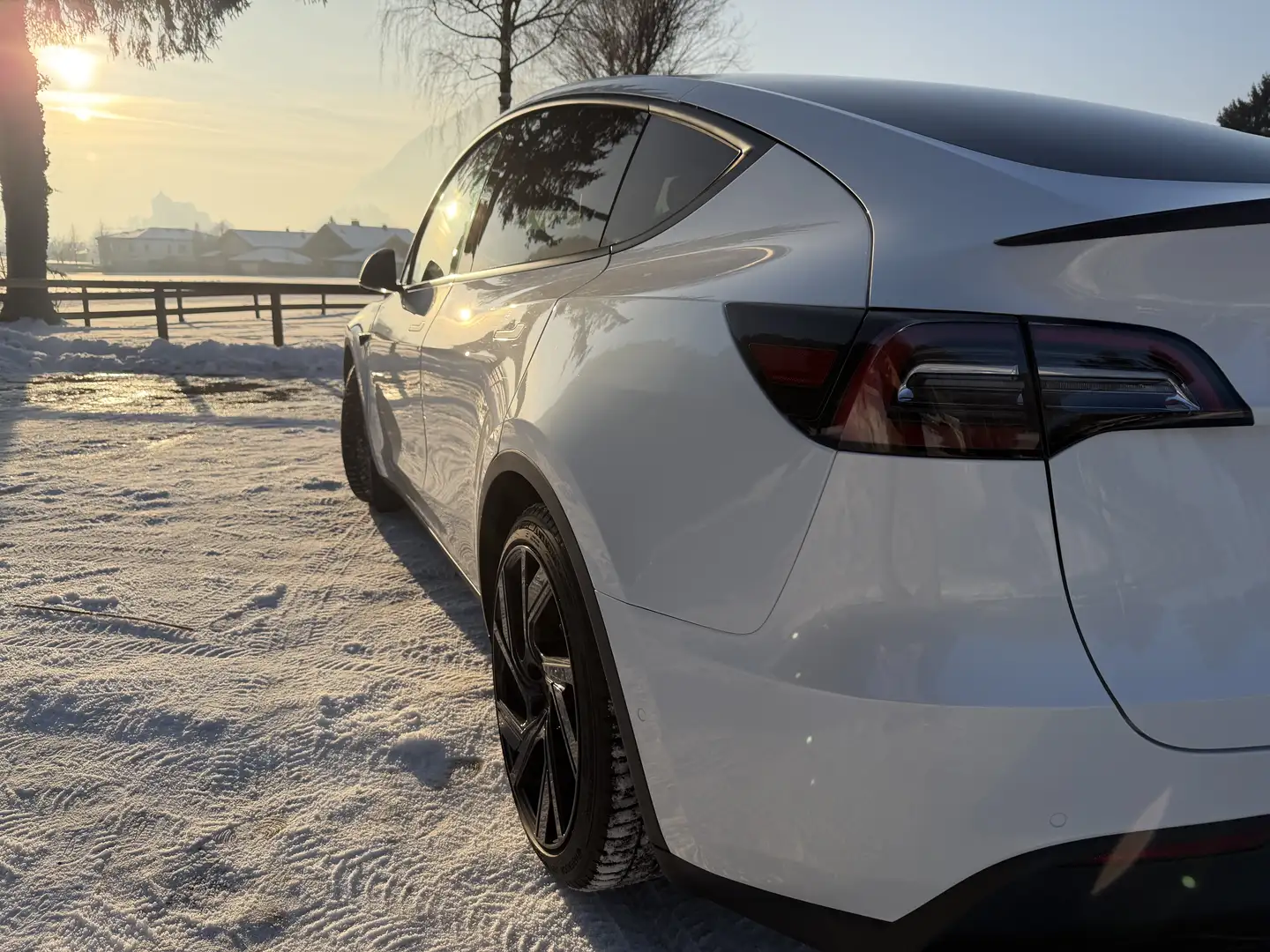 Tesla Model Y Performance Dual Motor AWD - 2