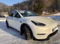 Tesla Model Y Performance Dual Motor AWD - thumbnail 3