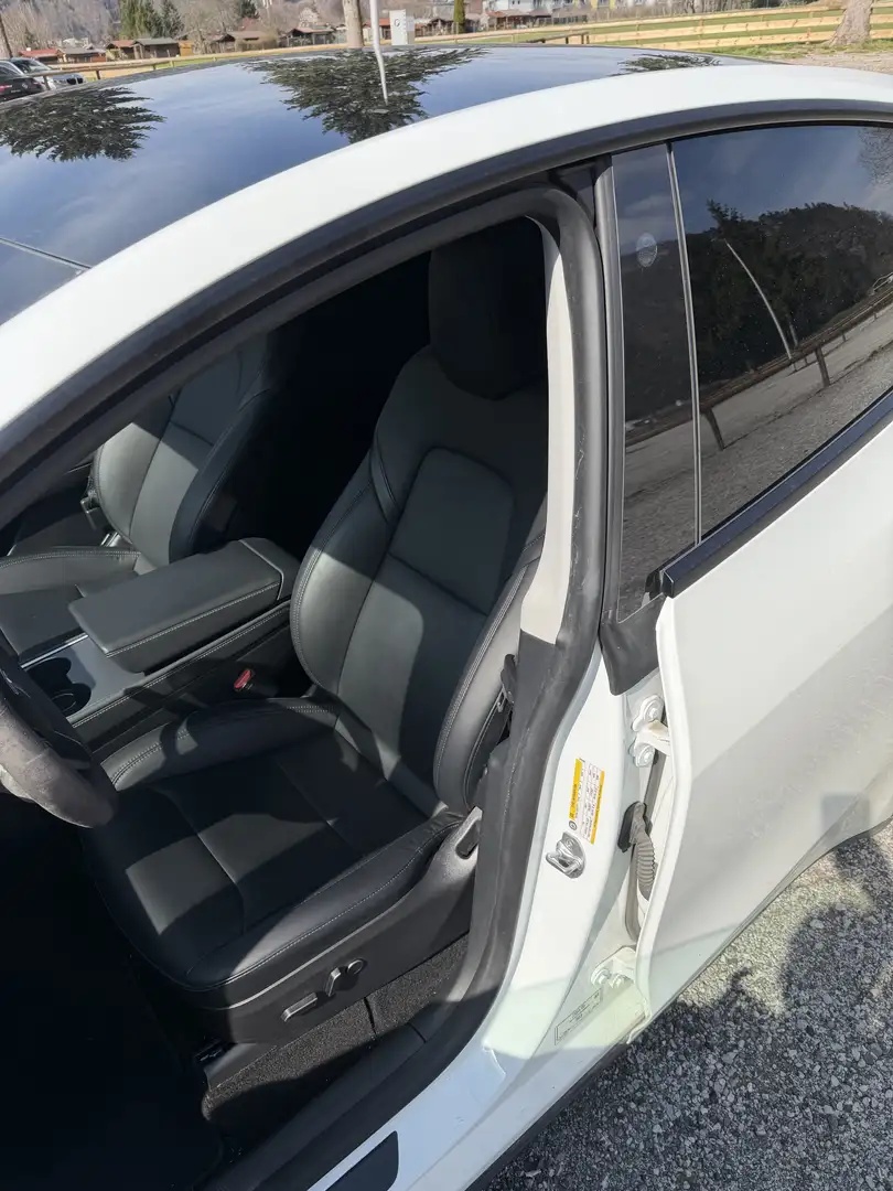 Tesla Model Y Performance Dual Motor AWD - 2