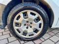 Fiat Doblo Doblò 1.6 MJT 120CV PC-TN Cargo Lamierato SX E6 Wit - thumbnail 7