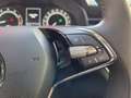 Skoda Kamiq 1.0 TSI Ambition Automaat/ Camera achter/ Parkeers Grijs - thumbnail 23